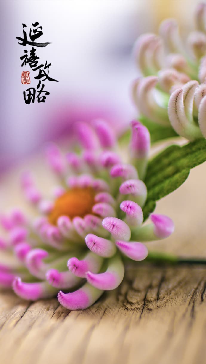 延禧攻略,清宮戲,宮廷美學,魏瓔珞.